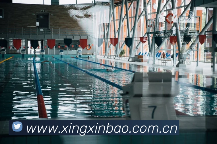 App Interface Preview